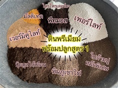 ดินพร้อมปลูก พรีเมี่ยม