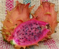 แก้วมังกรแฟรงกี้ เรด frankies red orange dragon fruit