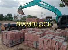 บล็อกตัวหนอน แผ่นทางเดิน แผ่นทางเท้า ราคาโรงงาน | Siamblock - เมืองปทุมธานี ปทุมธานี