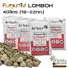 หินภูเขาไฟ Pumice กระสอบ 20 กิโล | Vanaphruek - ลาดพร้าว กรุงเทพมหานคร