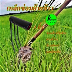 เหล็กซ่อมข้าวย้ายข้าวแทนการดำ 1นิ้ว | sk-organic - บางปะหัน พระนครศรีอยุธยา