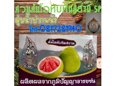 ส้มโอทับทิมสยาม