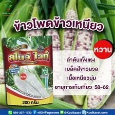 ข้าวโพดข้าวเหนียว สโนว์ ไวท์ ขนาด 200 กรัม คูลเกษตร