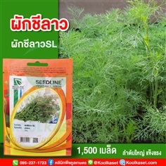 พันธุ์ผักชีลาว ผักชีลาวSL ซีดไลน์ 1,500 เมล็ด คูลเกษตร