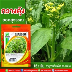 พันธุ์กวางตุ้งดอก ยอดสุวรรณ ซีดไลน์ 15 กรัม คูลเกษตร