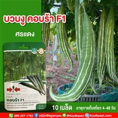 พันธุ์บวบงู คอบร้า F1 ศรแดง 10 เมล็ด คูลเกษตร 