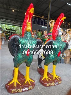 ไก่ชนขนาดใหญ่ ไก่แก้บน ไก่ไหว้ศาล รวยเงินรวยทอง  สูง 70 ซม.