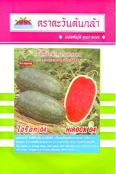 เมล็ดพันธุ์แตงโม (Watermelon "Hirock 04") | บริษัท  แกรนด์บิซ จำกัด - วัฒนา กรุงเทพมหานคร