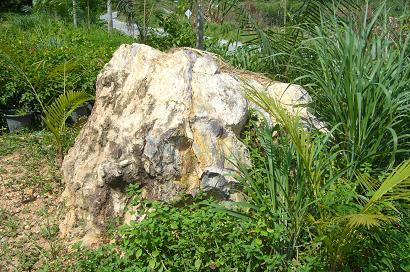 หิน | maidokklong15 - องครักษ์ นครนายก