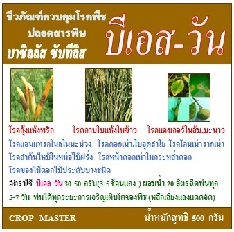 บีเอสวัน บาซิลลัส ซับทีลิส  กำจัดโรคพืช ปลอดสารพิษ | คร็อพมาสเตอร์ - บางบอน กรุงเทพมหานคร