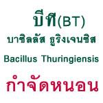 บีที80  บาซิลลัส ทูริงเยนซิส  กำจัดหนอนกระทู้หอม หนอนหลอดหอม | คร็อพมาสเตอร์ - บางบอน กรุงเทพมหานคร