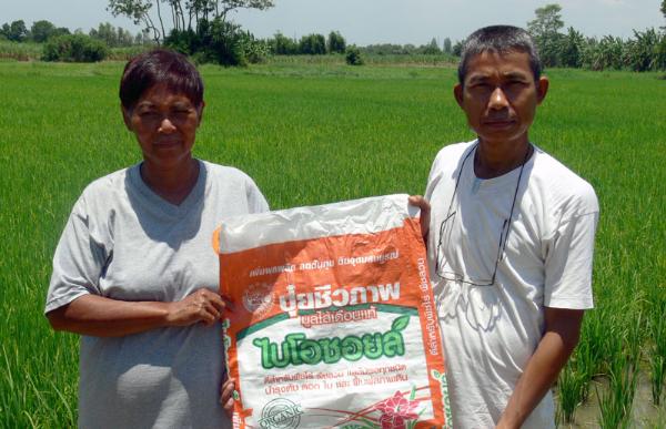 ชาวนาปลูกข้าวได้ผลผลิตเพิ่มขึ้นด้วย ปุ๋ยชีวภาพไบโอซอยล์ | Biosoil - ลาดพร้าว กรุงเทพมหานคร