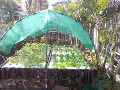 G.R.S Hydro Farm ชุดปลูกขนาดเล็ก 2x2.5 เมตร  | G.R.S. Hydro Farm (จี อาร์ เอส ไฮโดร ฟาร์ม ) -  ปทุมธานี