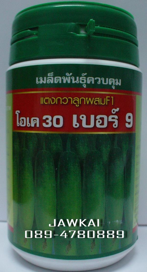 เมล็ดพันธุ์แตงกวาลูกผสม โอเค30 เบอร์9 | จ้าวไก่เกษตร - ไทรน้อย นนทบุรี