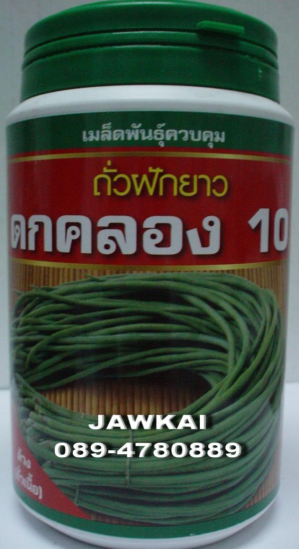 เมล็ดพันธุ์ถั่วฝักยาวด้วง ดกคลอง10