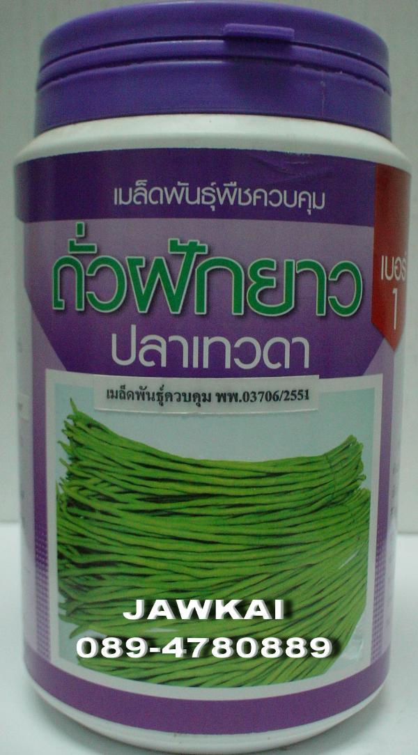 เมล็ดพันธุ์ถั่วฝักยาวด้วง ปลาเทวดาเบอร์1 | จ้าวไก่เกษตร - ไทรน้อย นนทบุรี