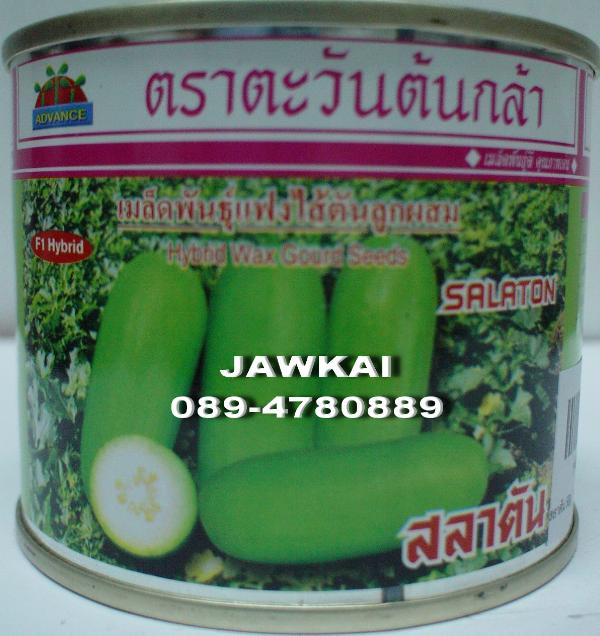 เมล็ดพันธุ์แฟงใส้ตันลูกผสม สลาตัน