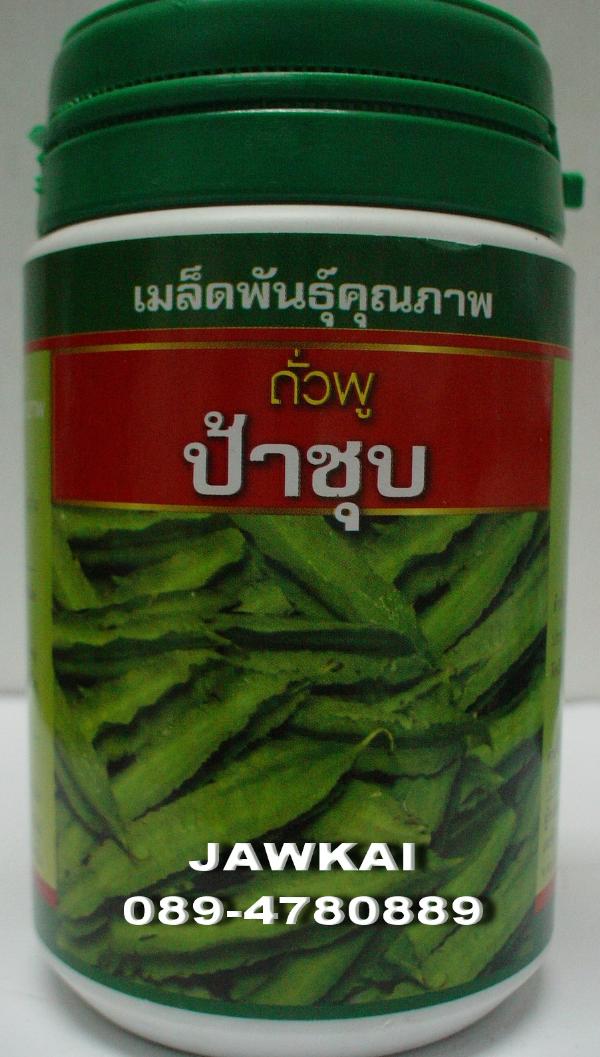 เมล็ดพันธุ์ถั่วพู ป้าชุบ