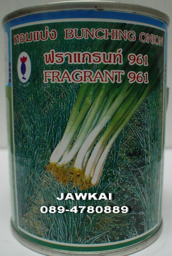 เมล็ดพันธุ์หอมแบ่ง ฟราแกรนท์961 | จ้าวไก่เกษตร - ไทรน้อย นนทบุรี