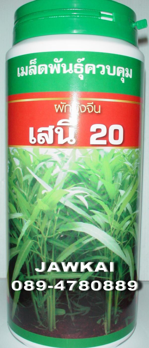 เมล็ดผักบุ้งจีนใบจีน เสนี20