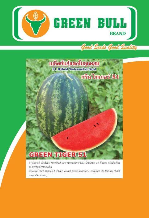 hat giong dua hau "Green Tiger 51" | บริษัท  แกรนด์บิซ จำกัด - วัฒนา กรุงเทพมหานคร