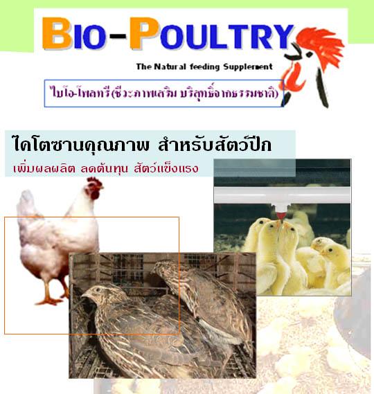 BIO-POULTRY (ไบโอพี) | GENTechnology -  สมุทรปราการ