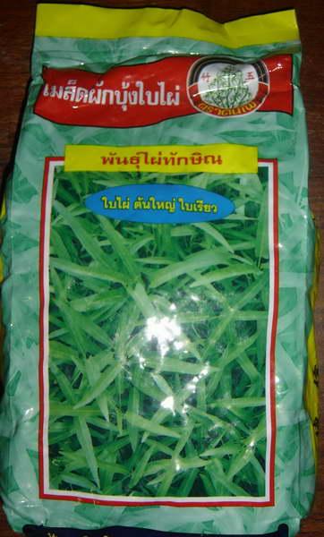 เมล็ดพันธุ์ ผักบุ้งจีนใบไผ่ พันธุ์ไผ่ทักษิณ ( ตราต้นไผ่ )   | umkaset - เมืองลำพูน ลำพูน