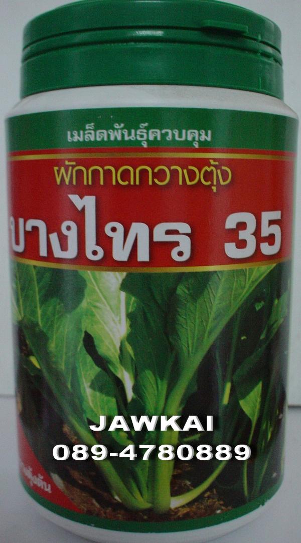 กวางตุ้งบางไทร 35 เสือดาว | จ้าวไก่เกษตร - ไทรน้อย นนทบุรี