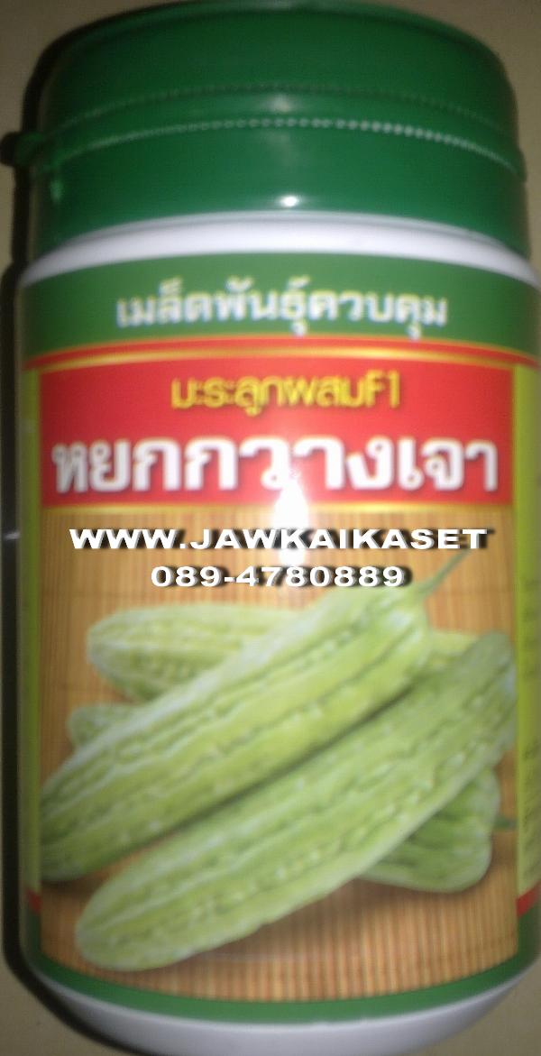 เมล็ดพันธุ์มะระจีน หยกกวางเจา ตราเสือดาว | จ้าวไก่เกษตร - ไทรน้อย นนทบุรี