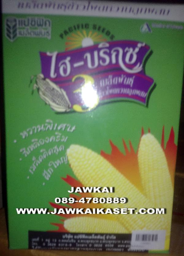 เมล็ดพันธุ์ข้าวโพดหวาน ไฮบริกซ์ 3 ตราแปซิฟิค | จ้าวไก่เกษตร - ไทรน้อย นนทบุรี