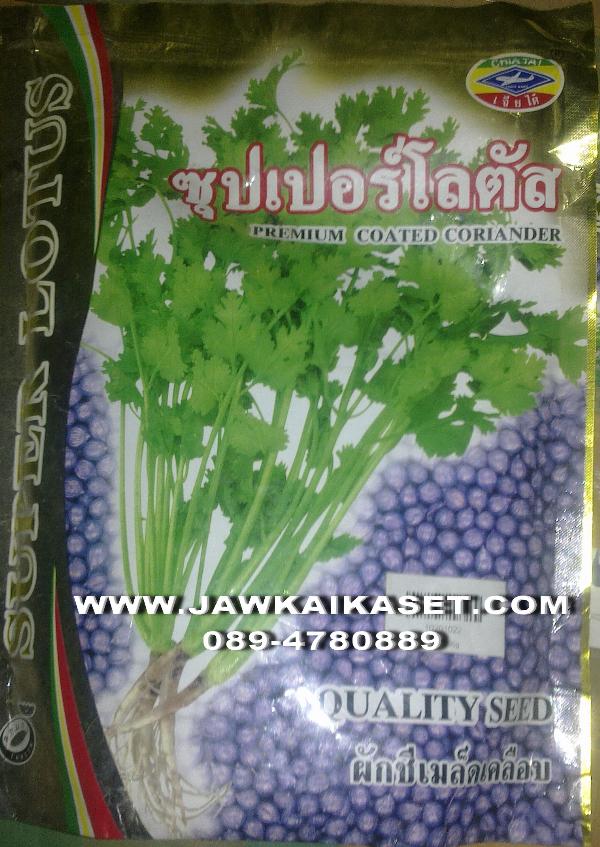 เมล็ดพันธุ์ผักชีไทย ซุปเปอร์โลตัส ตราเจียไต๋ | จ้าวไก่เกษตร - ไทรน้อย นนทบุรี