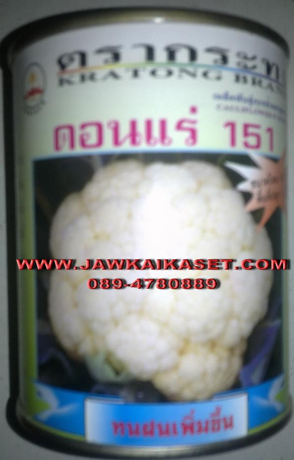 เมล็ดพันธุ์กะหล่ำดอก ดอนแร่ 151 ตรากระทง | จ้าวไก่เกษตร - ไทรน้อย นนทบุรี