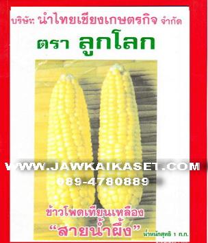 เมล็ดพันธุ์ข้าวโพดเทียนเหลือง สายน้ำผึ้ง ตราลูกโลก | จ้าวไก่เกษตร - ไทรน้อย นนทบุรี