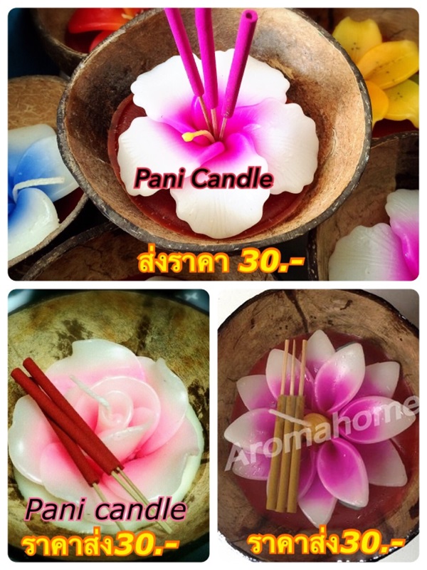 กระทงเทียน เทียนกระทง กระทงสาย กระทงดอกไม้เทียนในกะลามะพร้าว | Pani Candle -  สมุทรปราการ