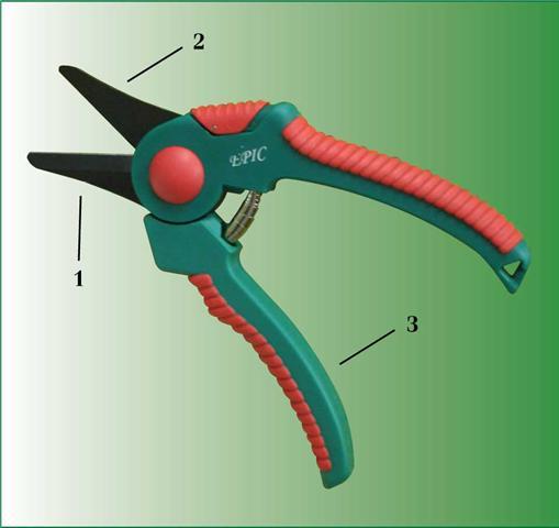 กรรไกรสำหรับเล็มกิ่งไม้เล็กตัดดอกไม้,องุ่นใบตัดแบบตัดผ่านปากแหลม FGPS959 	 | AAA product - คลองสามวา กรุงเทพมหานคร