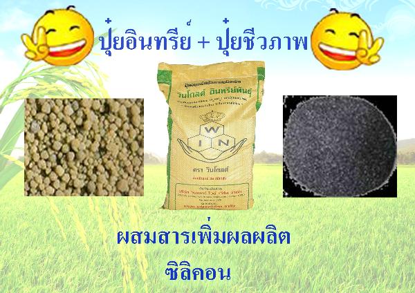 ปุ๋ยวินโกลด์ | adoxydee - ทุ่งครุ กรุงเทพมหานคร