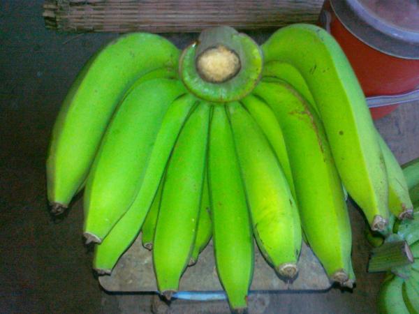 กล้วยหอมทอง | KLUAI HOM THONG - เมืองปาน ลำปาง