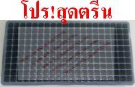 ถาดเพาะกล้า200หลุม | จ้าวไก่เกษตร - ไทรน้อย นนทบุรี