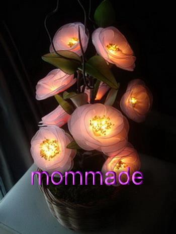 ดอกคามิลเลียชมพู | ร้านไฟดอกไม้ mommade  -  กรุงเทพมหานคร