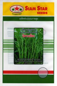 ผักบุ้ง | สยาม สตาร์ชีดส์ จำกัด - สันทราย เชียงใหม่