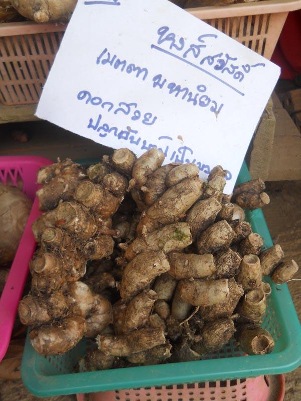 ว่านหงษ์สวัสดิ์ | รังค์ว่าน - เมืองตาก ตาก