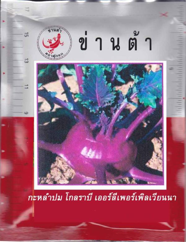 กะหล่ำปม  โกลราบี เออร์ลี่เพอร์เพิลเวียนนา | umkaset - เมืองลำพูน ลำพูน