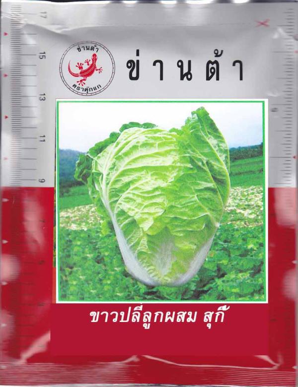 ผักกาดขาวปลีลูกผสม สุกี้ | umkaset - เมืองลำพูน ลำพูน