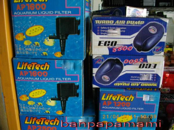 ปั๊มน้ำ,ปั๊มอ็อกซิเจน lifetech | บ้านป่าป๊า & หม่ามี๊ - บางบัวทอง นนทบุรี