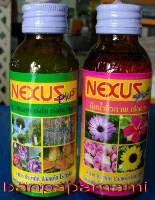 ปุ๋ยน้ำชีวภาพ  เร่ง ต้น ราก ใบ ดอก เน็กซัส nexus | บ้านป่าป๊า & หม่ามี๊ - บางบัวทอง นนทบุรี
