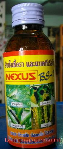 สารสกัดชีวภาพยับยั้งเชื้อราและแบคทีเรีย เน็กซัส nexus