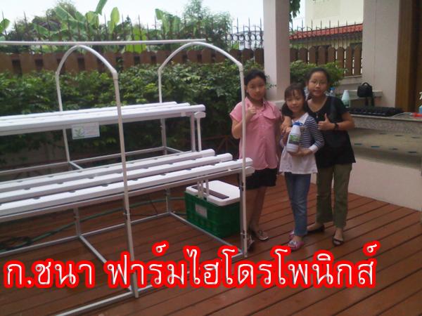 แปลงปลูกผักไฮโดรโพนิกส์แบบสองชั้น | ก.ชนาผักไฮโดรโพนิกส์ - คลองหลวง ปทุมธานี