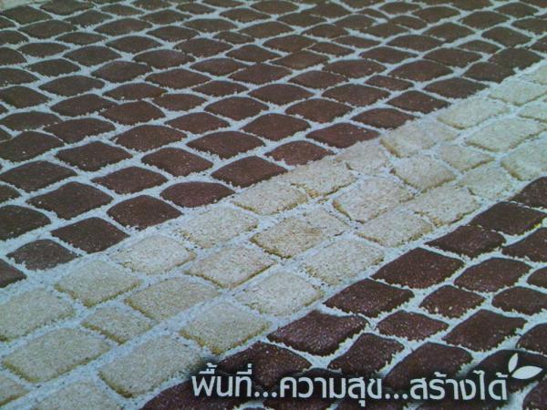 Carpet Stone  | บ้านและสวน(รวมซีเมนต์) - หนองแขม กรุงเทพมหานคร