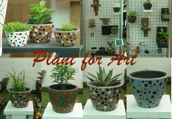 กระถาง ไซส์เล็ก กลาง ใหญ่ | ร้าน plant for Art - ธนบุรี กรุงเทพมหานคร