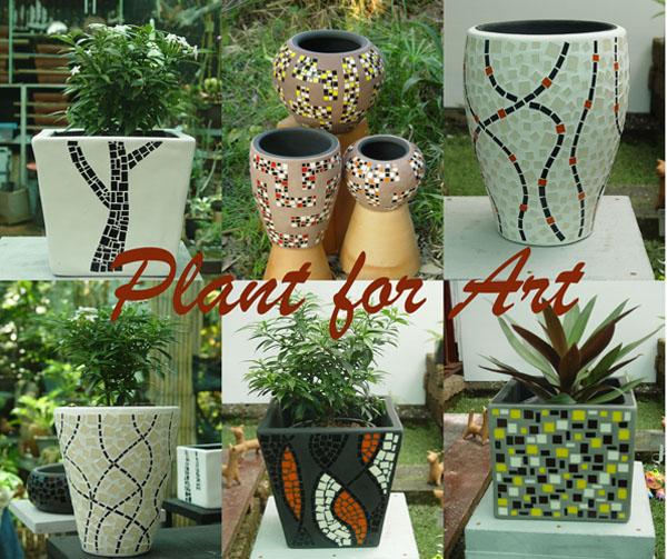 กระถางทรงต่างๆ | ร้าน plant for Art - ธนบุรี กรุงเทพมหานคร